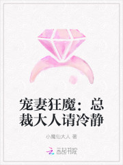 寵妻狂魔：總裁大人請冷靜