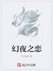 幻夜之戀