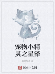 寵物小精靈之星澤