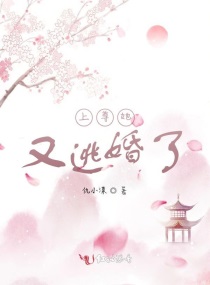 上尊她又逃婚了
