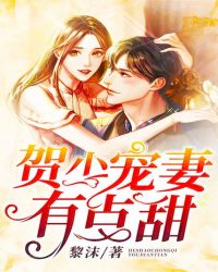 賀少寵妻有點甜