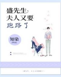 盛先生，夫人又要跑路了