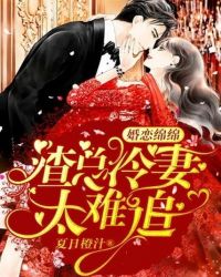 婚戀綿綿：渣總冷妻太難追