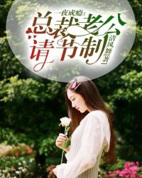 一夜成癮：總裁老公請節製